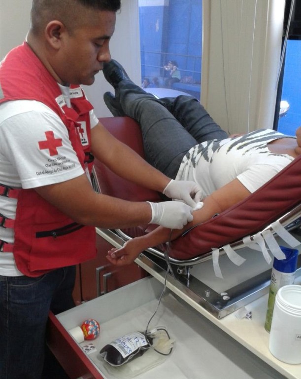 En Cuanto Tiempo Se Recupera La Sangre Donada